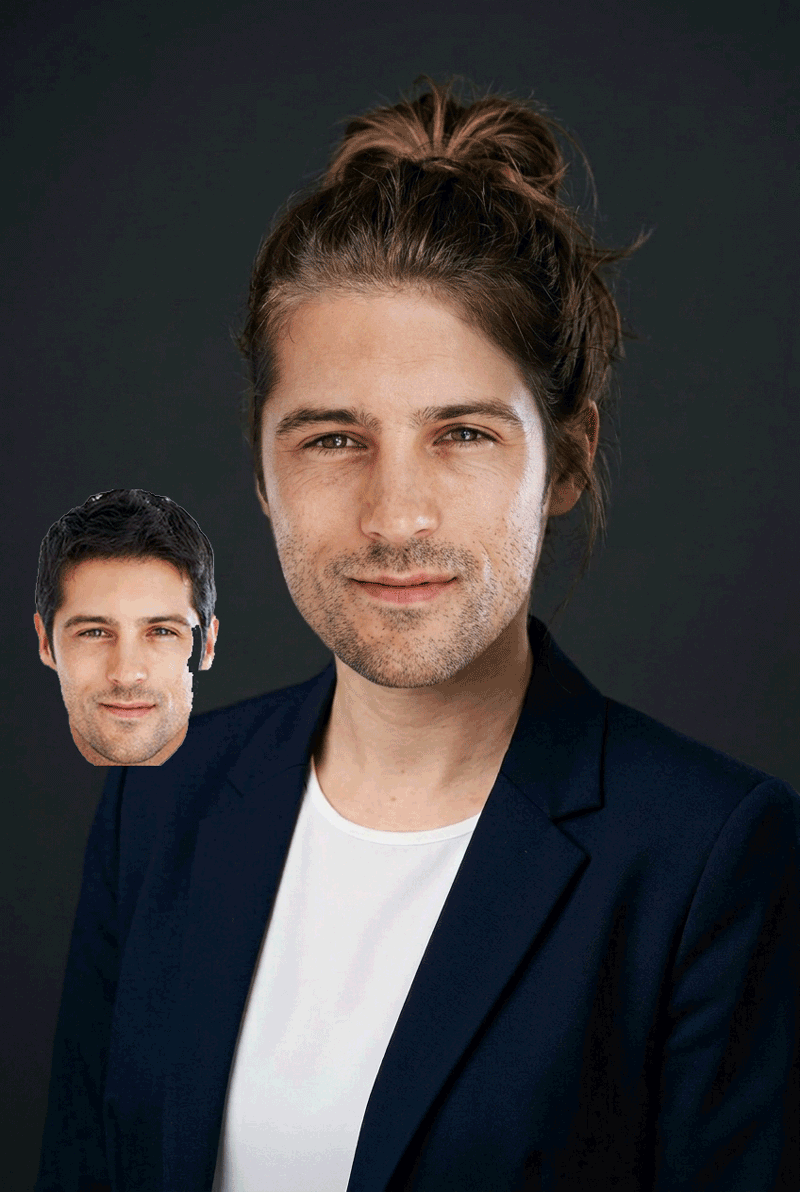 Photo Face Swap Tool